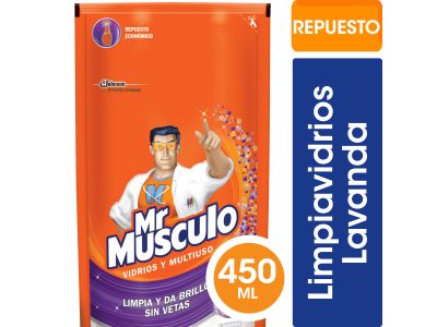 LIMPIADOR Mr MUSCULO VIDRIOS Y MULTIUSO 450 ML