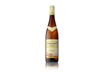 VINO ETCHART PRIVADO TORRONTES 750 CC