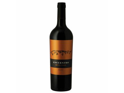 VINO ENCUENTRO MALBEC 750 cc