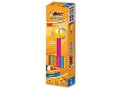 LAPIZ BIC COLOR EVOLUCION 12 UN