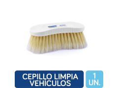 CEPILLO LA GAUCHITA LAVA AUTOS